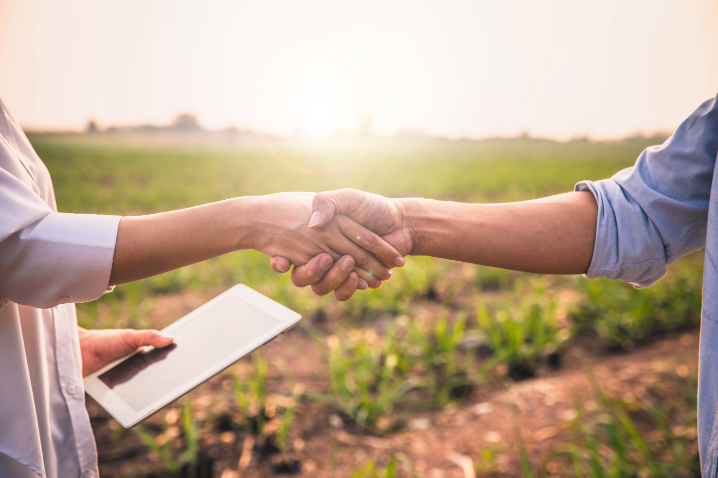 A Mount Dora agriculture business formation attorney shaking hands with a client, offering legal support for agribusiness setup.